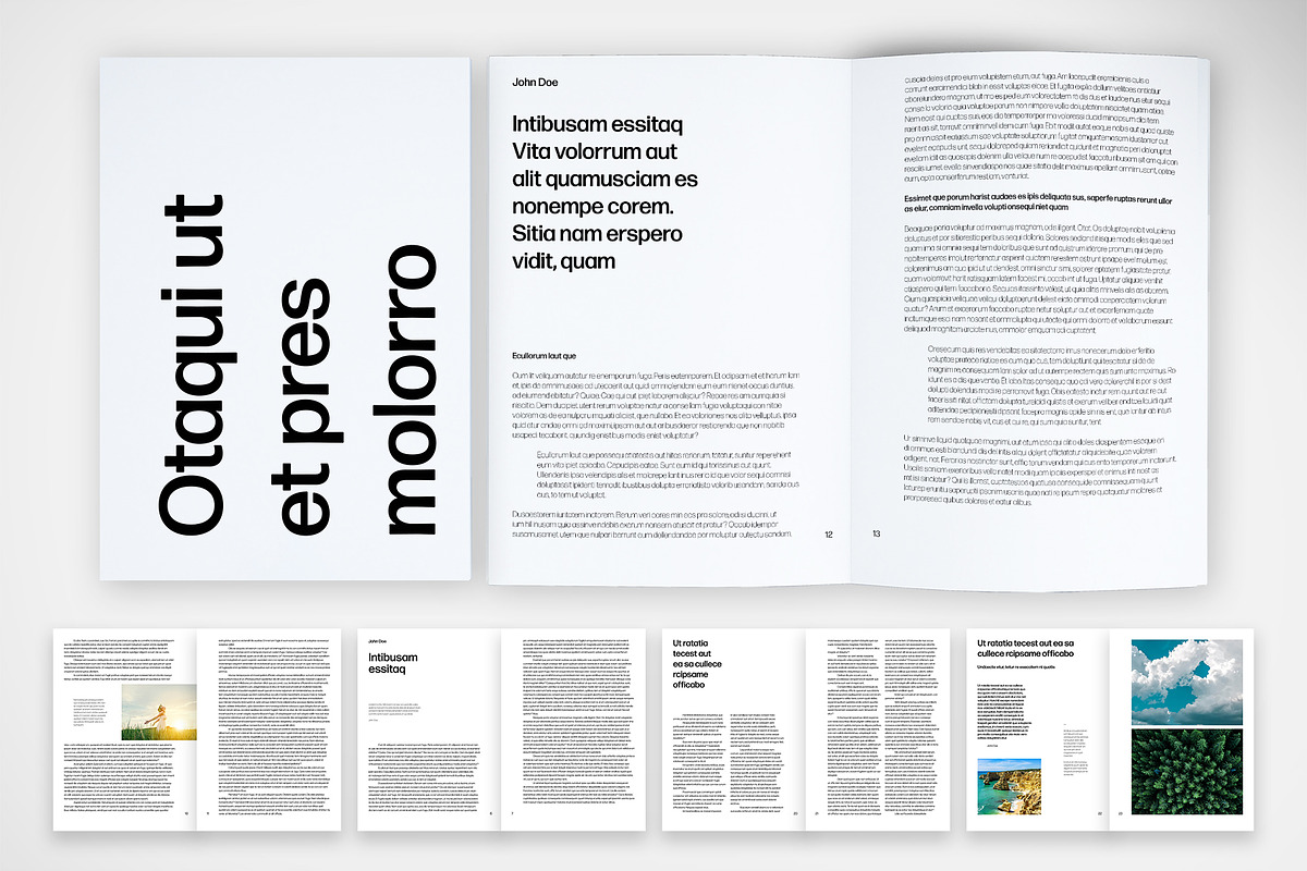 Professional Report Template