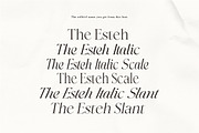 The Esteh Serif, a Serif Font by AnayaStudio (Thumbnail 8 of 10)