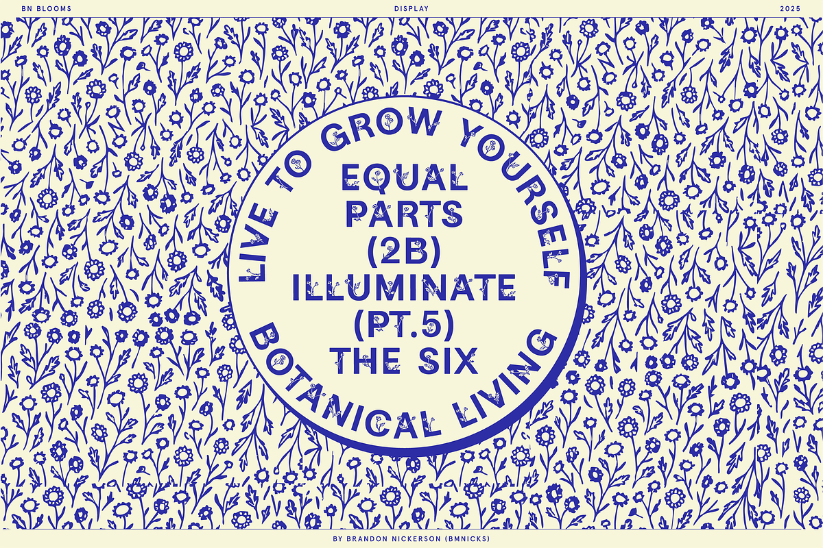BN Blooms, a Sans Serif Font by Bnick (Photo 10 of 17)