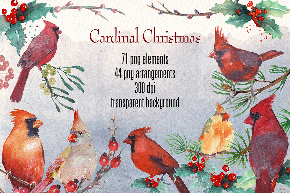 cardinal christmas watercolor, a Decorative Illustration by Art & Things (Photo 2 of 11)