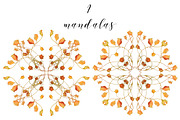Watercolor iris flowers set., an Illustration by redstudio (Thumbnail 6 of 10)