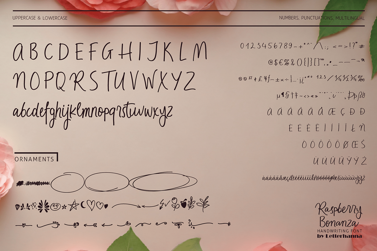 Raspberry Bonanza Quirky Handwriting, a Handwritten Font by Letterhanna Studio (Photo 10 of 10)