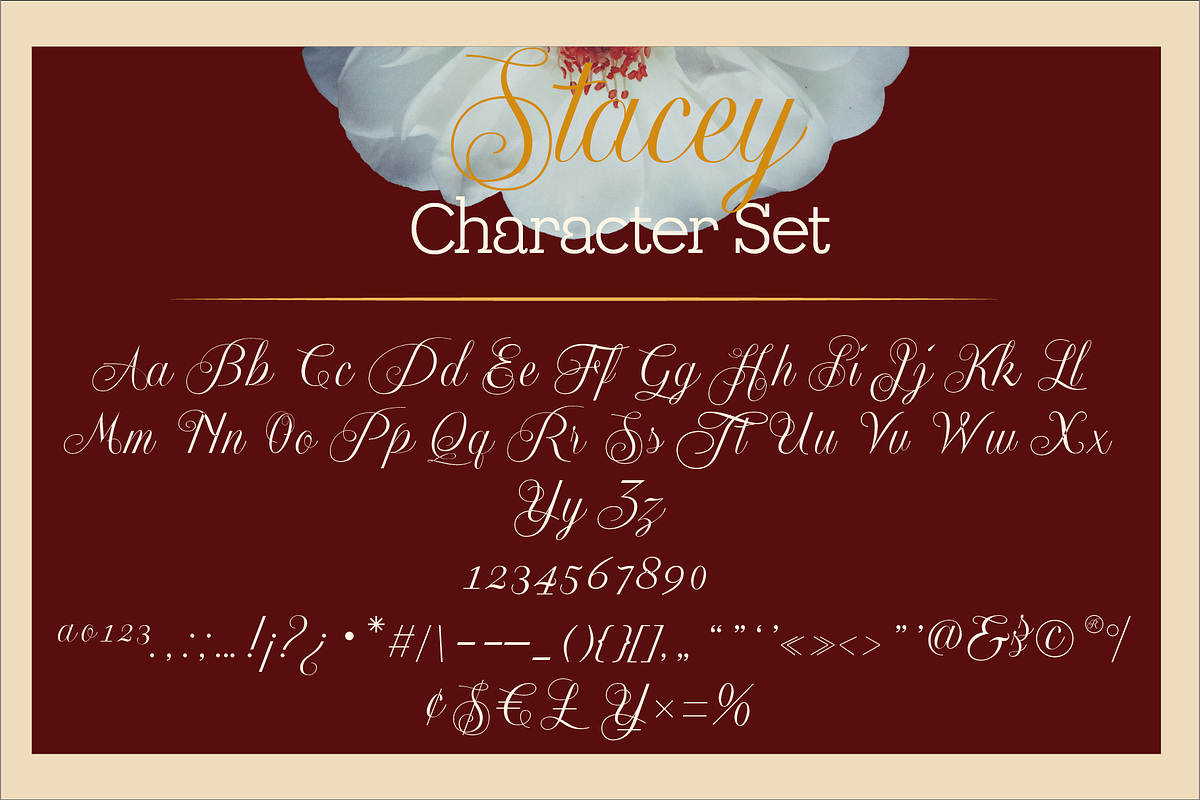 Lumora and Stacey Font Duo, a Font by PeanutButter Type (Photo 6 of 9)