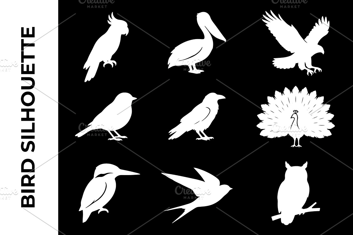 Birds Silhouette Collection, an Object Graphic by nandinigraphics (Photo 2 of 3)