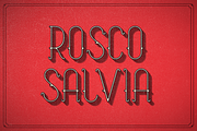 Rosco Salvia, a Serif Font by Philippe Moesch (Thumbnail 1 of 5)