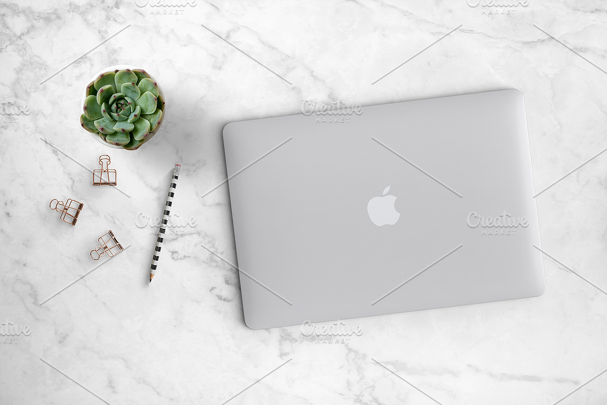 Succulent with Laptop Scene 26-0020, a Mac Mockup by Garlic Friday Design