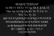 Erios || Modern Elegant Serif Font, a Serif Font by Ermedia Studio (Thumbnail 10 of 10)