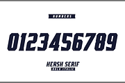 HERSH SERIF FONT FAMILY, a Serif Font by Alphabet Agency (Thumbnail 13 of 14)