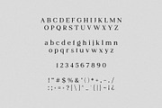 Juliette Duo Typeface, a Serif Font by Schrifted Type (Thumbnail 7 of 9)