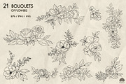 Botany Line Art Collection, a Decorative Illustration by Skliarova (Thumbnail 5 of 10)
