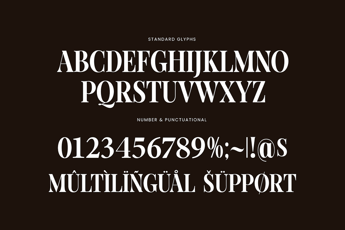 Heluna Elegant Serif Font Typeface, a Serif Font by Perfectype (Photo 7 of 7)