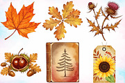 Watercolor Ephemera Autumn Clipart, a Seasonal Illustration by Canvas Craft (Thumbnail 3 of 5)