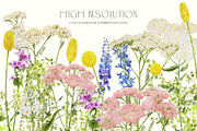 JUNE Watercolor Summer Collection, a Decorative Illustration by Kaleriia (Thumbnail 5 of 15)