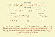 Limoncello Recipe Handwritten Font, a Script Font by PeachCreme (Thumbnail 11 of 13)