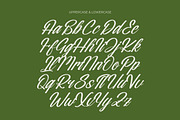 Nostalgic Pictures Calligraphy Font, a Script Font by Letterena Studios Script (Thumbnail 12 of 15)