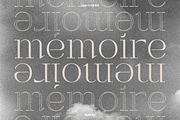 TAN - PARFAIT, a Serif Font by TanType (Thumbnail 6 of 21)