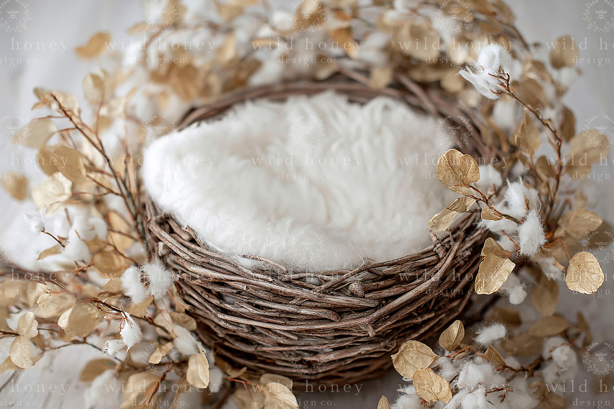 Newborn Basket Digital Backdrop, a Layer Style Add-On by Wild Honey Design Co. (Photo 2 of 2)