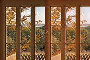 15 Vibrant Fall Lightroom Presets, a Preset Add-On by TheWayfarerShoppe (Thumbnail 7 of 9)