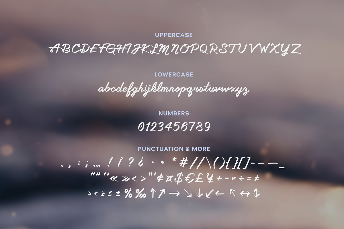 Jensen Luxury Cursive Logo Font preview 8