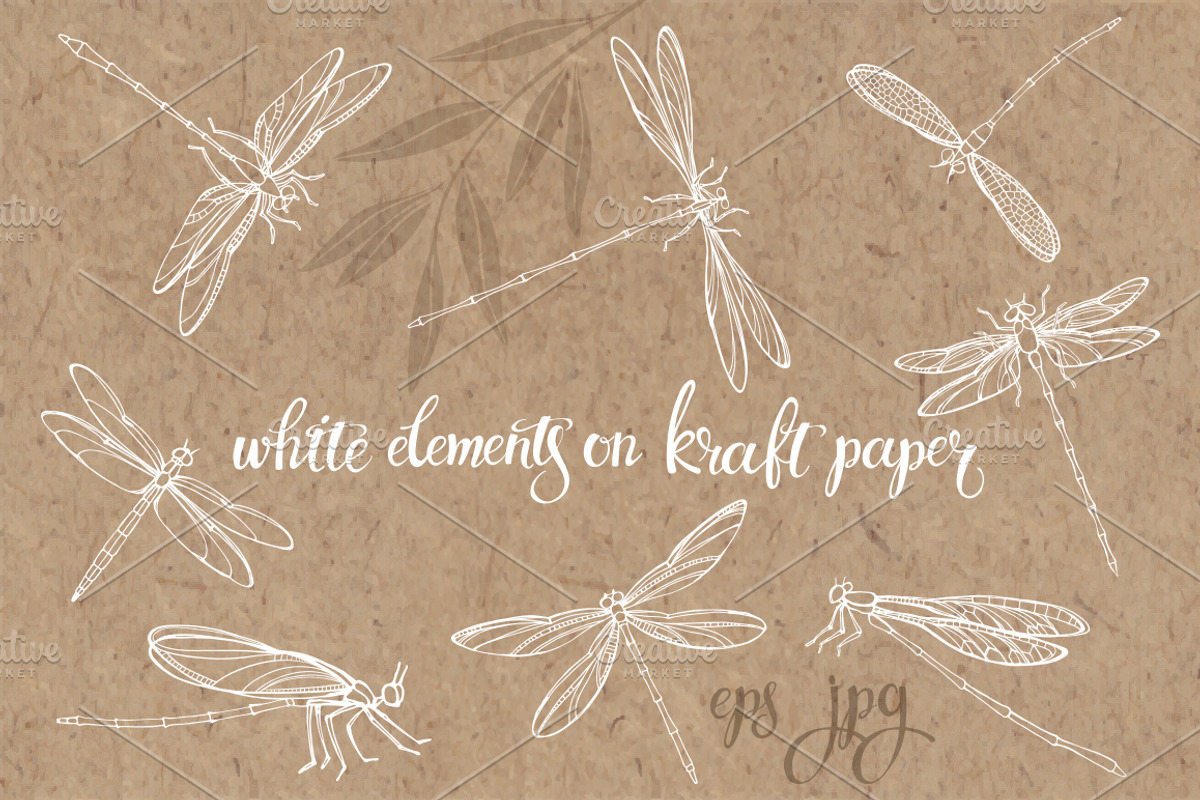 Dragonflies., an Object Graphic by maritime_m (Photo 5 of 7)