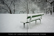 10 Realistic Photoshop Snow Brushes, a Brush Add-On by Dene Studios (Thumbnail 7 of 8)