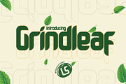 Grindleaf, a Font by LetterStock (Thumbnail 1 of 6)