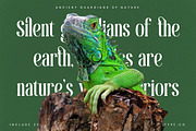 Theforest Modern Serif Font, a Serif Font by timelesstype.co (Thumbnail 11 of 20)