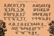 Nymphaea Victorian Font, a Blackletter Font by TypeClassHeroes (Thumbnail 6 of 10)