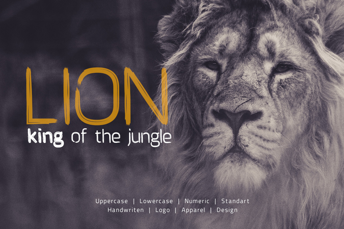 Brushtype Od Font preview 3