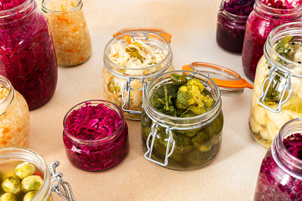 Cabbage fermentation, sauerkraut, a Food & Drink Photo by Pandateam