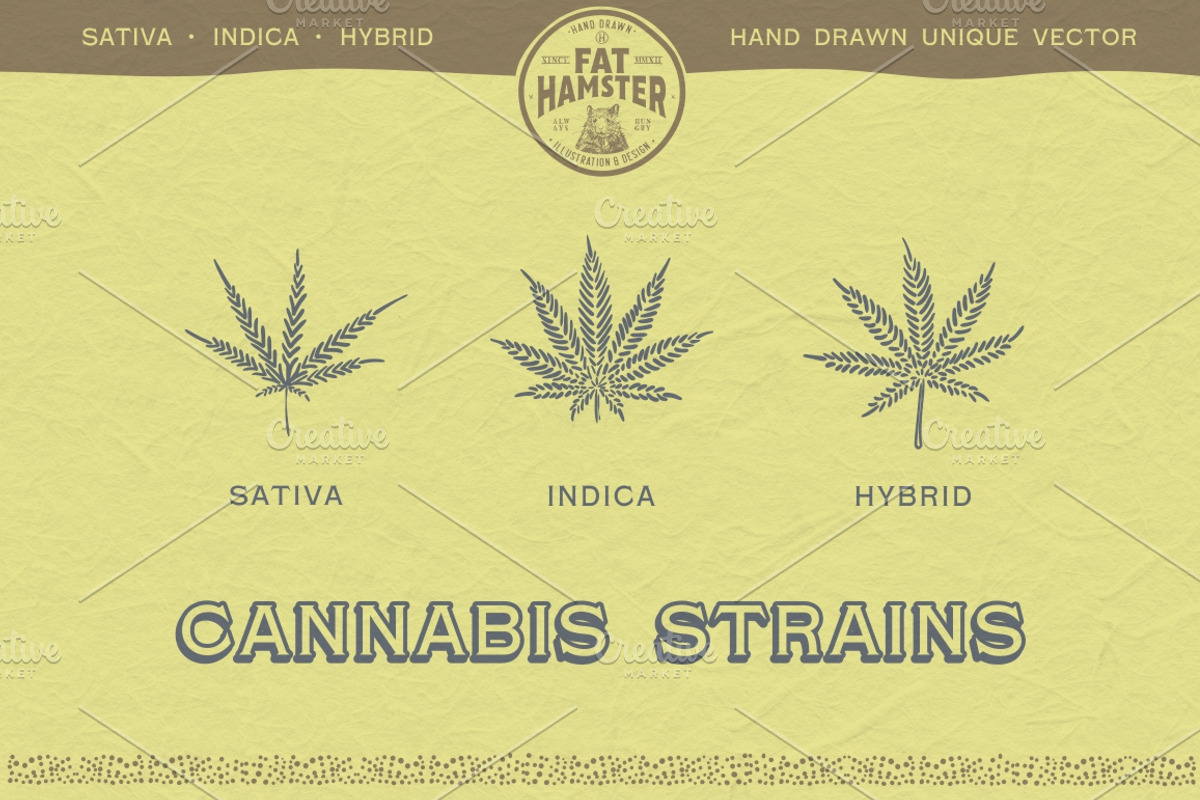 Cannabis & Hand vintage illustration, a Healthcare Illustration by Fat Hamster (Photo 3 of 16)