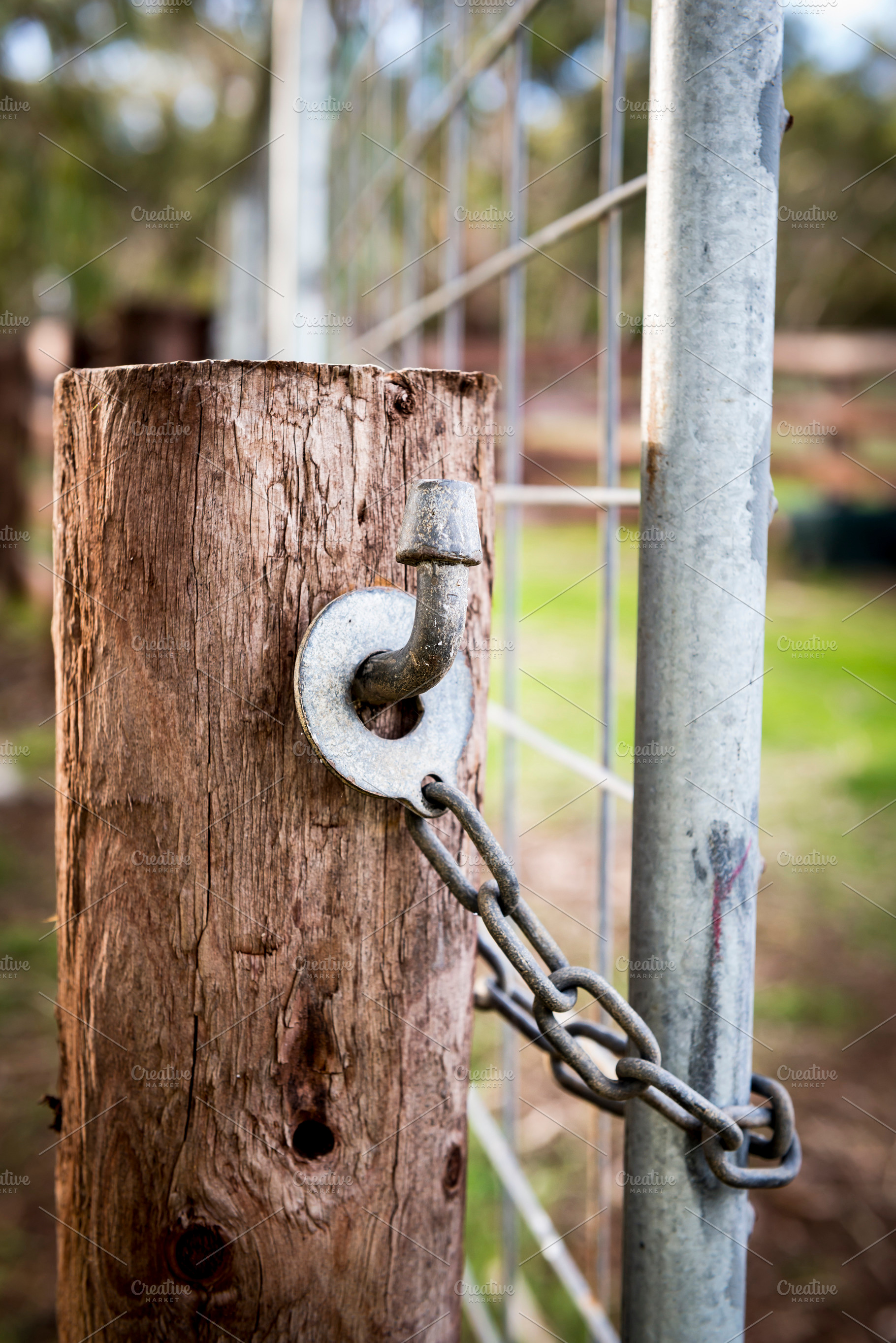Farm Gate Lock, an Industrial Photo by THP Creative