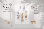Watercolor Squid Life Cycle Set, an Education Illustration by MayaNavits (Thumbnail 2 of 8)