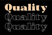 Trellis//Typeface Bold Serif, a Serif Font by Kleffont Studio (Thumbnail 3 of 10)