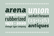 Fellbaum Grotesk Full, a Sans Serif Font by Vintage Type Company (Thumbnail 4 of 16)