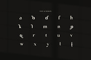Random Elegant Serif Font, a Serif Font by Graphicxell (Thumbnail 8 of 8)
