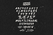 Strings Trunger Raw Brush Typeface, a Handwritten Font by Maulana Creative (Thumbnail 6 of 6)