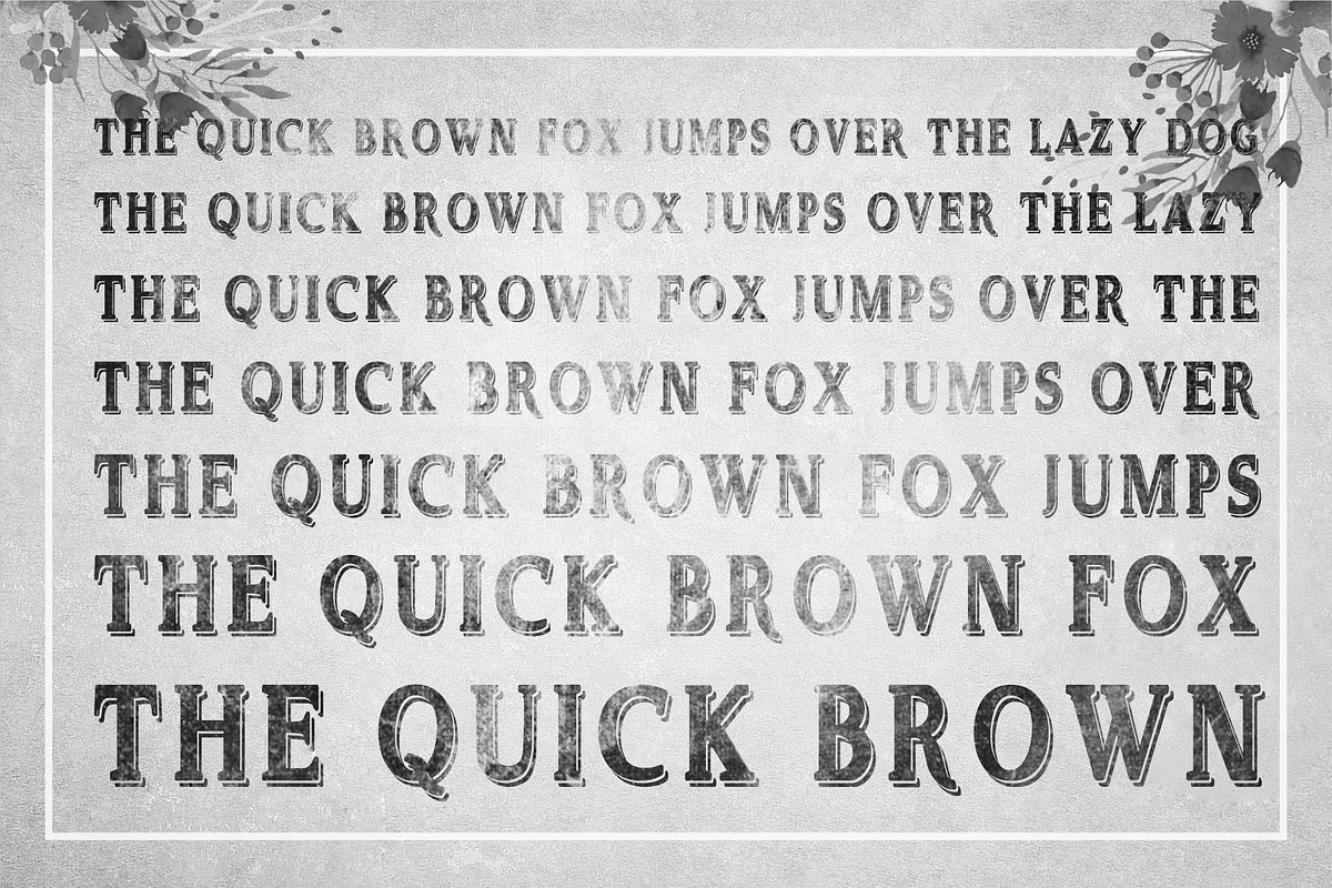 Delayne - Vintage Typeface preview 4