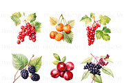 Watercolor Berry Clipart, Strawberry, a Food Illustration by BrushstrokeArtGB (Thumbnail 3 of 9)