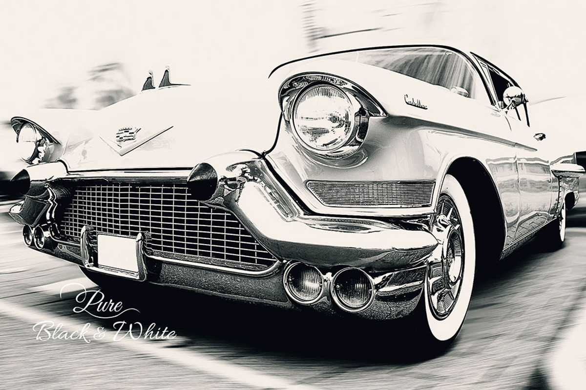 Pure Black and White, an Action Add-On by Briell Design (Photo 8 of 14)