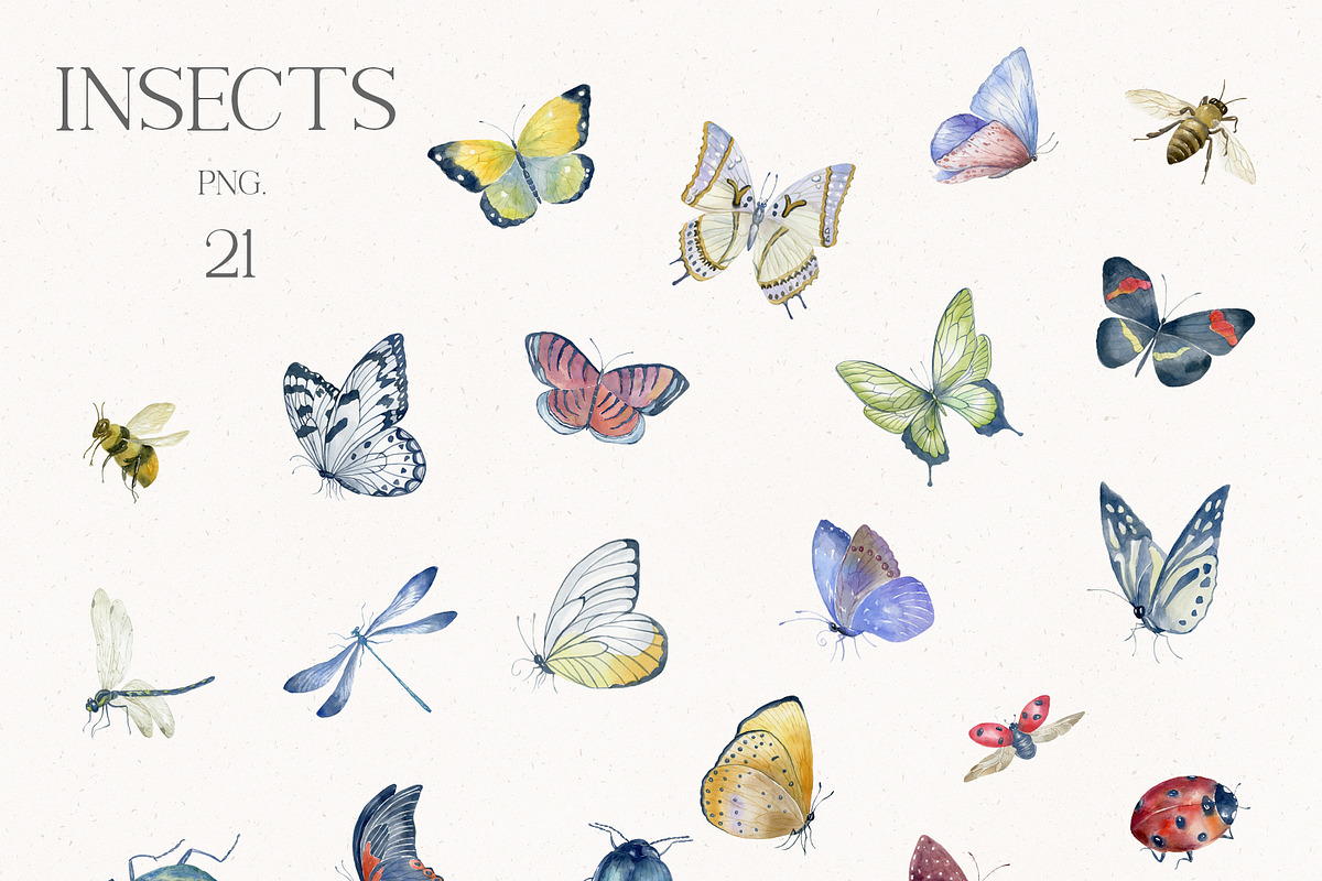 World of Butterflies & Wild Flowers., a Seasonal Illustration by Designwork (Photo 18 of 20)