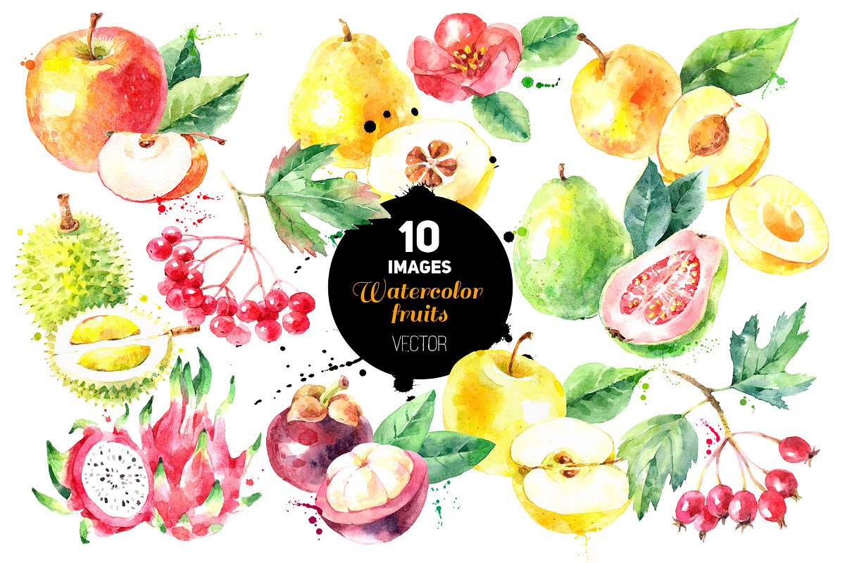 Watercolor Bundle Vector Set, a Food Illustration by Elena Pimonova (Photo 11 of 13)