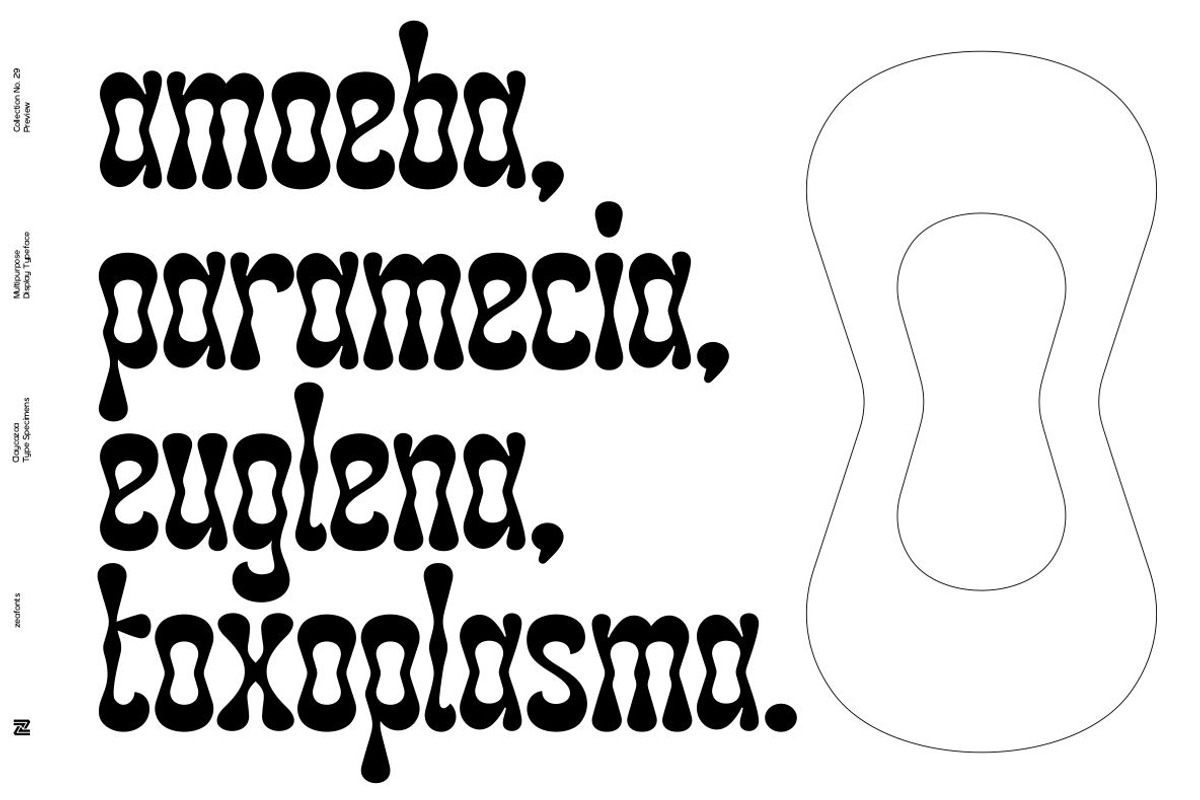 CLAYCOZOA, a Serif Font by Bagerich Type Foundry (Photo 6 of 13)