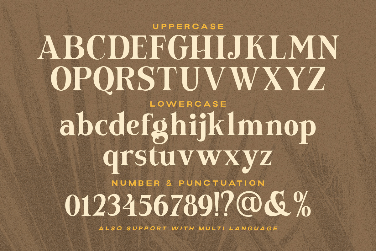 Newfield - Modern Serif Font, a Serif Font by Letterhend Studio (Photo 9 of 9)