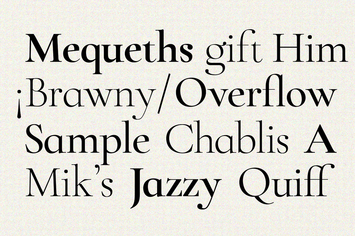 ZT Chablis - Classic serif, a Serif Font by zelow type (Photo 6 of 15)