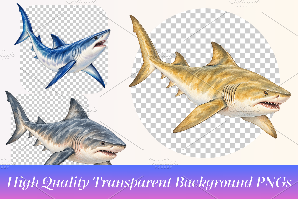 Watercolor Shark Clipart PNG Bundle, an Animal Illustration by Ink Gallery (Photo 3 of 7)