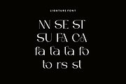 Gefars - Modern Ligature Serif Font, a Serif Font by QR Design Studio (Thumbnail 9 of 14)