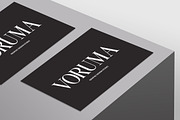 Lunar Type - Family Serif Font, a Serif Font by Flawless And Co (Thumbnail 6 of 10)