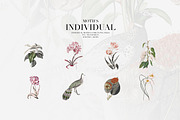 Antique Plumage – Botanical Pattern, a Pattern Graphic by YARROO (Thumbnail 9 of 10)
