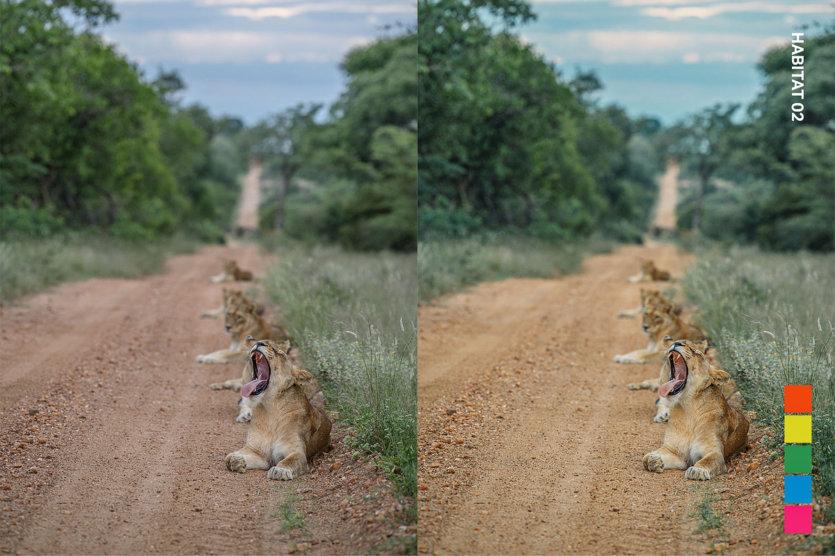 25 Safari Lightroom Presets LUTs, a Preset Add-On by SparkleStock (Photo 8 of 15)